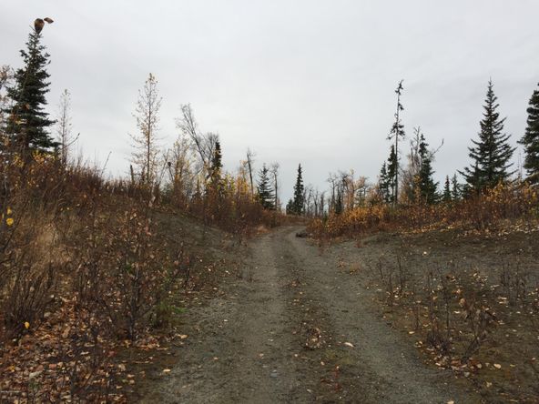 63885 Tailwind Rd, Ninilchik, AK 99639
